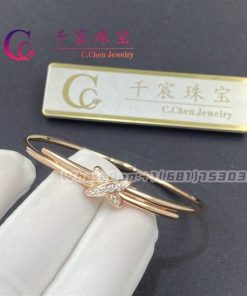 Chaumet Jeux De Liens Bracelet 081776
