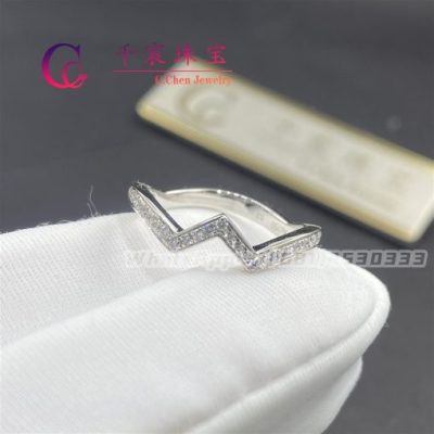 Chaumet Paris Jos??phine Amour D??aigrette Wedding Band Platinum Diamonds 083760