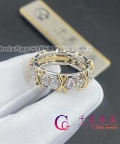 Tiffany Schlumberger Sixteen Stone Ring 60099365