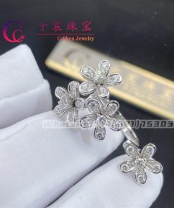 Van Cleef & Arpels Socrate Between The Finger Ring Diamond VCARB14500