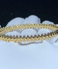 Cartier Clash De Cartier Bracelet Medium Model B6065717