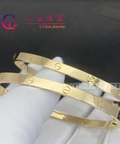 Cartier Love Bracelet Small Model B6047517